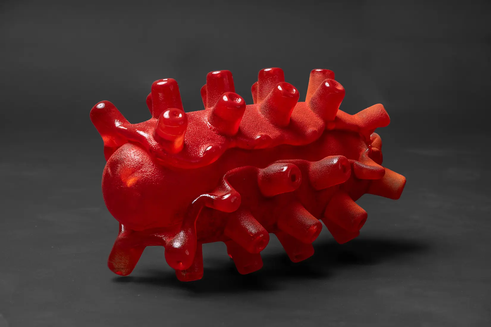 楕円状の形に蛸の吸盤のようなパーツを被せたガラス製の作品が黒い床の上に置いてある。左上からスポットライトが照らされており右下に影がおちている。赤を基調としていて、表面はザラザラとした凹凸がある質感をしている。蛸の吸盤のようなパーツは規則正しく並んでいるが、向いている方向は全て異なっている。吸盤のようなパーツが作品を支えている。